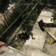 Image for article titled Tips For Playing Dying Light